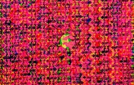 ג'ניפר בר-לב