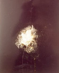 אודי צ'רקה - ללא כותרת (פרט), 2010. גפרורים שרופים, קורי תולעי משי וניילון נצמד על ניילון שחור ועץ לבוד