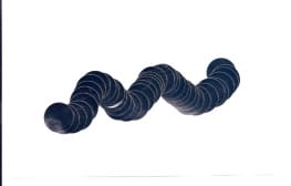 ניר סגל