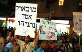 צילה זלט