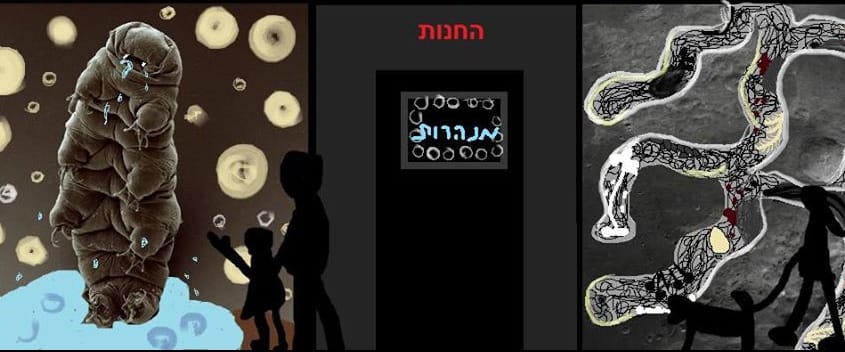 נועה טורקניץ' | "מנהרות" | גלריית החנות  נעילה: 25.10.14 נועה טורקניץ' עוסקת בארכיטיפים של אימה ובחרדת המוות המגולמת במפלצות ושדים מן הפולקלור הקדום ועד התרבות הוויזואלית הפופולרית (אנימציה, קומיקס, סרטי אימה). בתערוכה תציג מיצב פיסולי: נמלול שקוף שבו שוכן קוסמוס של טבע מכושף. מנהרות הנמלול מציעות אלטרנטיבת מילוט מן המציאות האלימה, שעליה מנצח אל רחום ומחבק בעל שמונה זרועות בדמות דובון מים. בערב הפתיחה תשהה טורקניץ' בתוך הפסל ותתאחד איתו. גלריית החנות, רח׳ העלייה 31, תל-אביב. התערוכה תוצג 24 שעות ביממה בוויטרינות