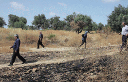 טקס מאה הנופים