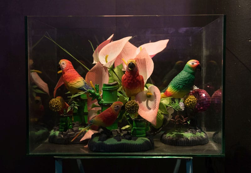 דינה גולדשטיין, Bird Aquarium, אסמבלאז׳, 2014