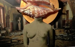 Lady Shell
