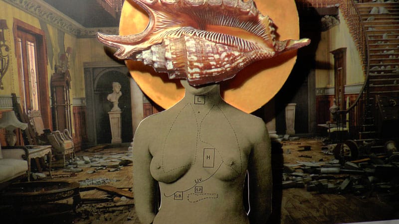 דינה גולדשטיין, The House 5, קולאז׳, 2014