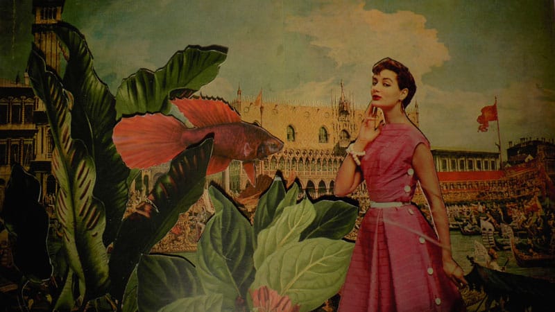 דינה גולדשטיין, The Fish, קולאז׳, 2014
