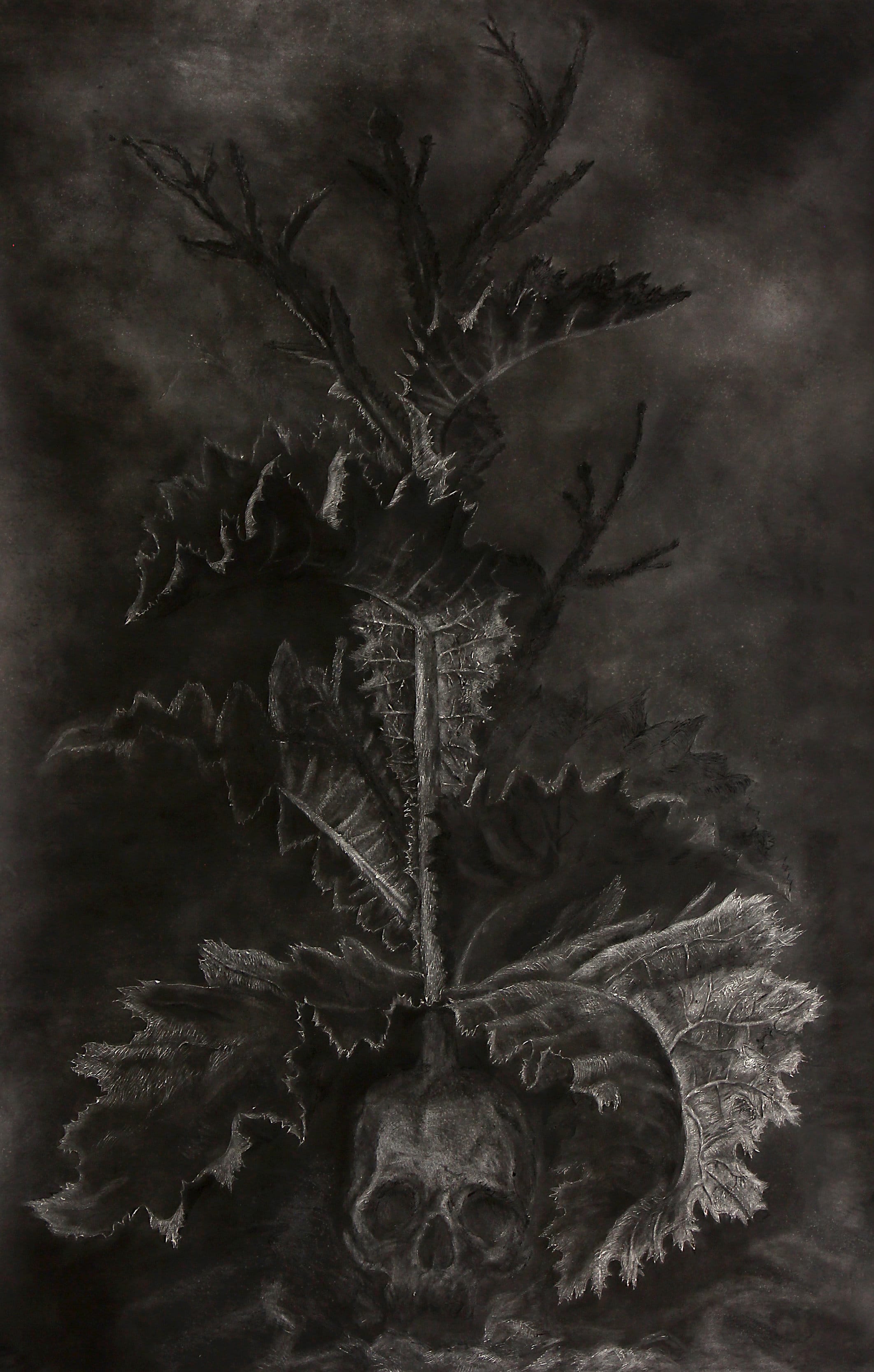 דרור בו-עמי, ללא כותרת, 170120 ס"מ, פחם על נייר, 2014