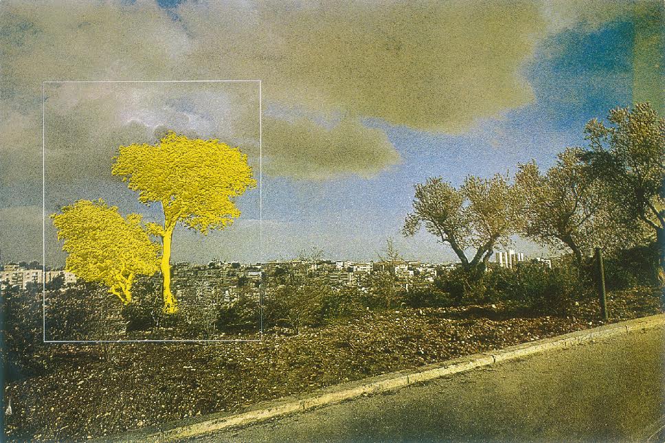 מנשה קדישמן - עץ צהוב, 1973. הדפס רשת. צילום: אברהם חי