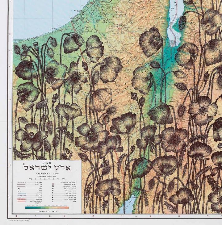 אסתר כהן, שדה פרגים, פרט, עט כדורי על נייר, 2014