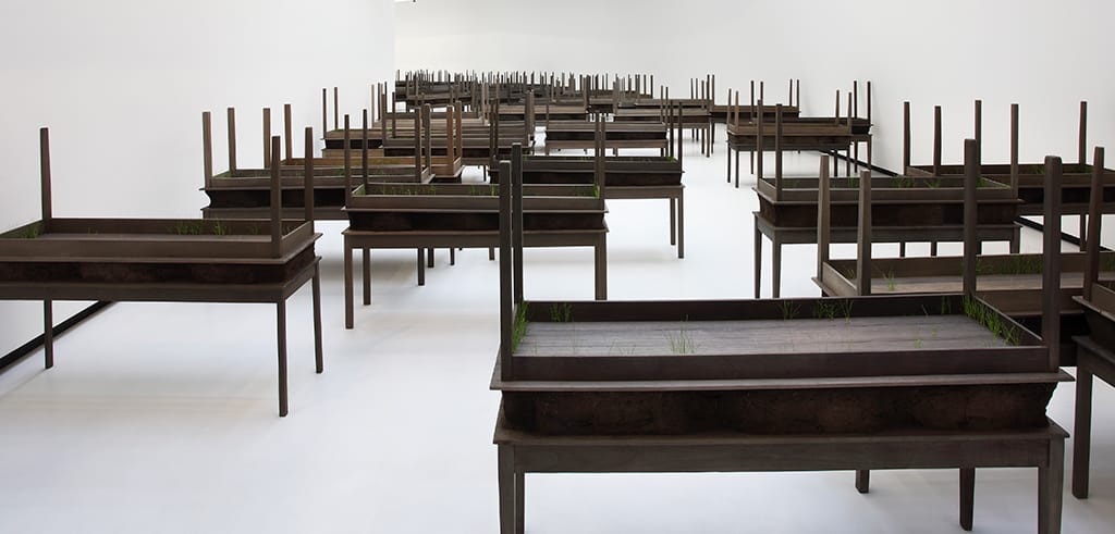 Doris Salcedo, Plegaria Muda (detail), 2008–10. Wood, concrete, earth, and grass in 122 parts, dimensions variable. Courtesy Alexander and Bonin, New York