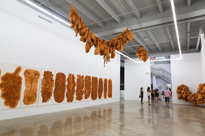 Installation view, Solange Pessoa