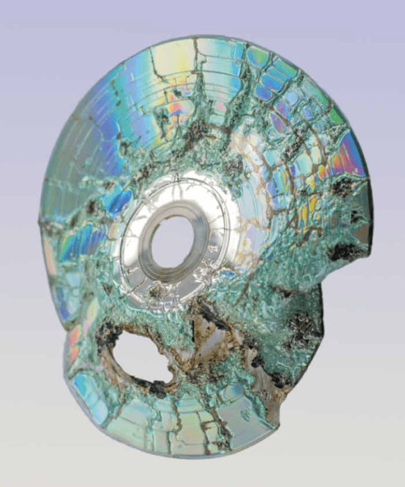  Paul Kneale, Free software 01, 2015. Compact disc, approx. 12/12 cm. Courtesy: the artist and Arttuner