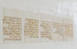 "הדימוי היומי": גלריה אלפרד חוגגת 12