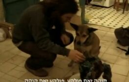 המפלצתי יפה וגם דומה לתרנגולת