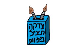 אין כסף באמנות: פרק 5